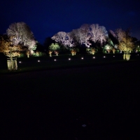 Waddesdon Manor Christmas lights