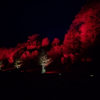 Waddesdon Manor Christmas lights