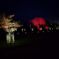 Waddesdon Manor Christmas lights