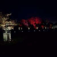 Waddesdon Manor Christmas lights