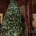 Waddesdon Manor Christmas tree lights