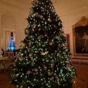 Waddesdon Manor Christmas tree lights