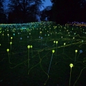 Waddesdon Manor Christmas lights