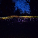 Waddesdon Manor Christmas lights