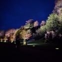 Waddesdon Manor Christmas lights