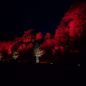 Waddesdon Manor Christmas lights