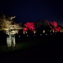 Waddesdon Manor Christmas lights