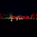 Waddesdon Manor Christmas lights