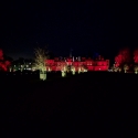 Waddesdon Manor Christmas lights