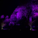 Waddesdon Manor Christmas lights