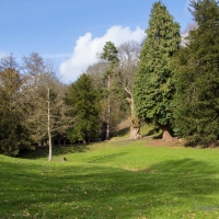 National Trust, Ightham Mote