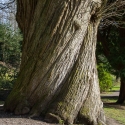 National Trust, Ightham Mote