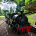 Fawley Hill, Hudswell Clarke 0-6-0ST No.31