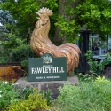 Fawley Hill