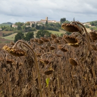 Fanjeaux, Fenouillet-du-Razès