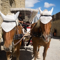 Carcassonne