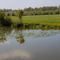 Cormoranche-sur-Saone