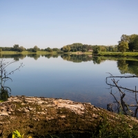 Cormoranche-sur-Saone, fishing pond
