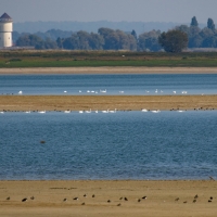 Lake Der-Chantecoq