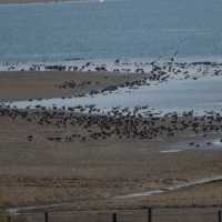 Lake Der-Chantecoq