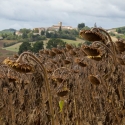 Fanjeaux, Fenouillet-du-Razès