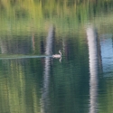 Cormoranche-sur-Saone, fishing pond at campsite