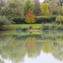 Luxémont-et-Villotte - Camping Nature hedge