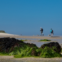 Herm island, Shell beach