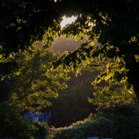 Guernsey campsite at sunset