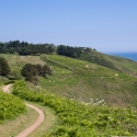 Herm footpath on the East of the Island