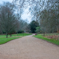 Mottisfont Christmas decorations