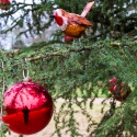 Mottisfont Christmas decorations