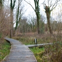 Mottisfont Wetland walk