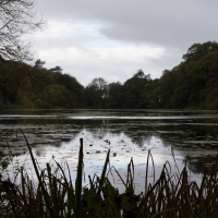 Culzean Castle, Swan Pond