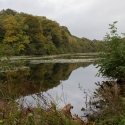 Culzean Castle, Swan Pond