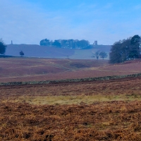 Bradgate Park, Leicester