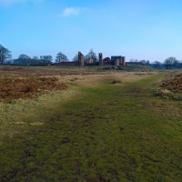 Bradgate Park, Leicester