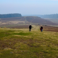 Bradgate Park, Leicester