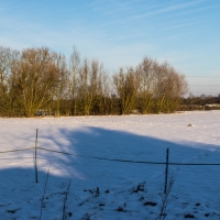 Kingswood snow