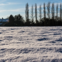 Kingswood snow