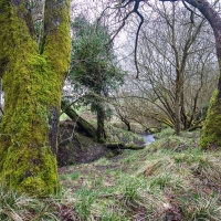 Fforest fields Campsite in Hundred House, walk