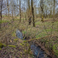 Fforest fields Campsite in Hundred House, walk