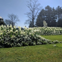 Waddesdon Manor, The Aviary