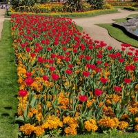 Waddesdon Manor, The Parterre