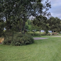 Fforest Fields Campsite, pitches