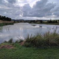 Fforest Fields Campsite, the lake