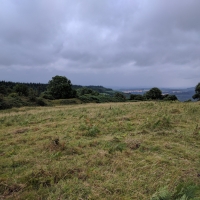 National Trust, Croft Castle walk to the Iron Age Hill Fort