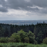 National Trust, Croft Castle walk to the Iron Age Hill Fort