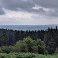 National Trust, Croft Castle walk to the Iron Age Hill Fort