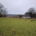 Hatfield Forest on new years eve